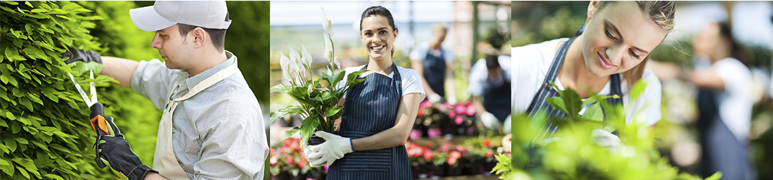 Cursos Jardineria En Encina De San Silvestre